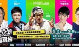 台湾疯狂爆料视频大全,视频大全背后的真相与争议