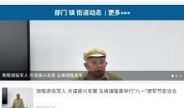 爆料新闻视频素材提交,爆料新闻视频背后的惊人真相